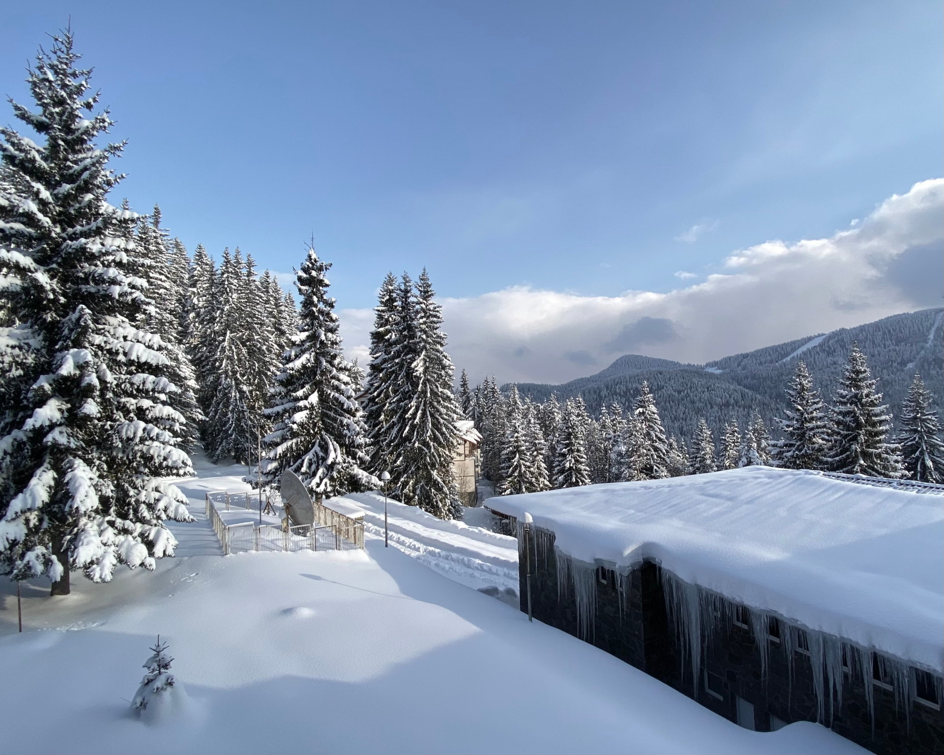 Кеф цена няма: Боровец удари Алпите в земята с цени