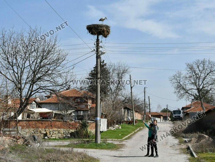 В Хасковско ликуват, Дончо се завърна СНИМКИ 