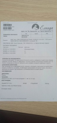 Кървав ужас с доберман във Варна, стопанинът гледа безучастно ВИДЕО 