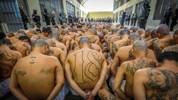 Мегапандиз: 40 хил. татуирани гангстери станаха покорни като кученца ВИДЕО