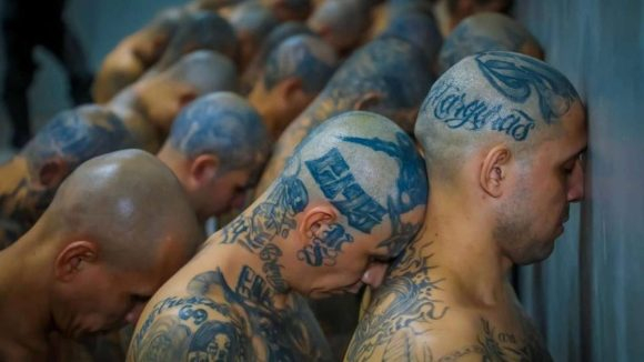 Мегапандиз: 40 хил. татуирани гангстери станаха покорни като кученца ВИДЕО