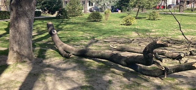 Кошмар до детски люлки в Пловдив СНИМКИ