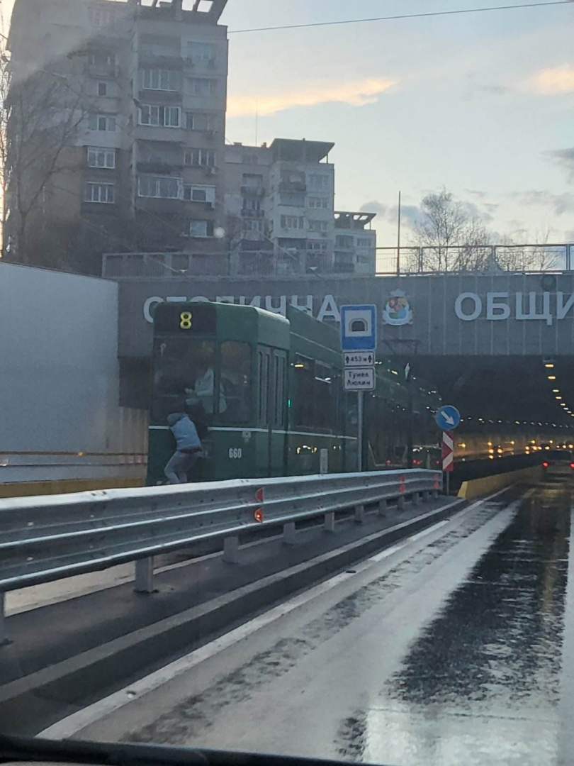 Столичани изтръпнаха заради тези СНИМКИ на дете и постъпката му