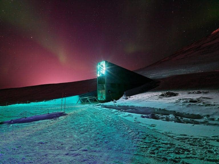 Шареният боб на баба Ленка от Стакевци ще спаси света, ето как СНИМКИ