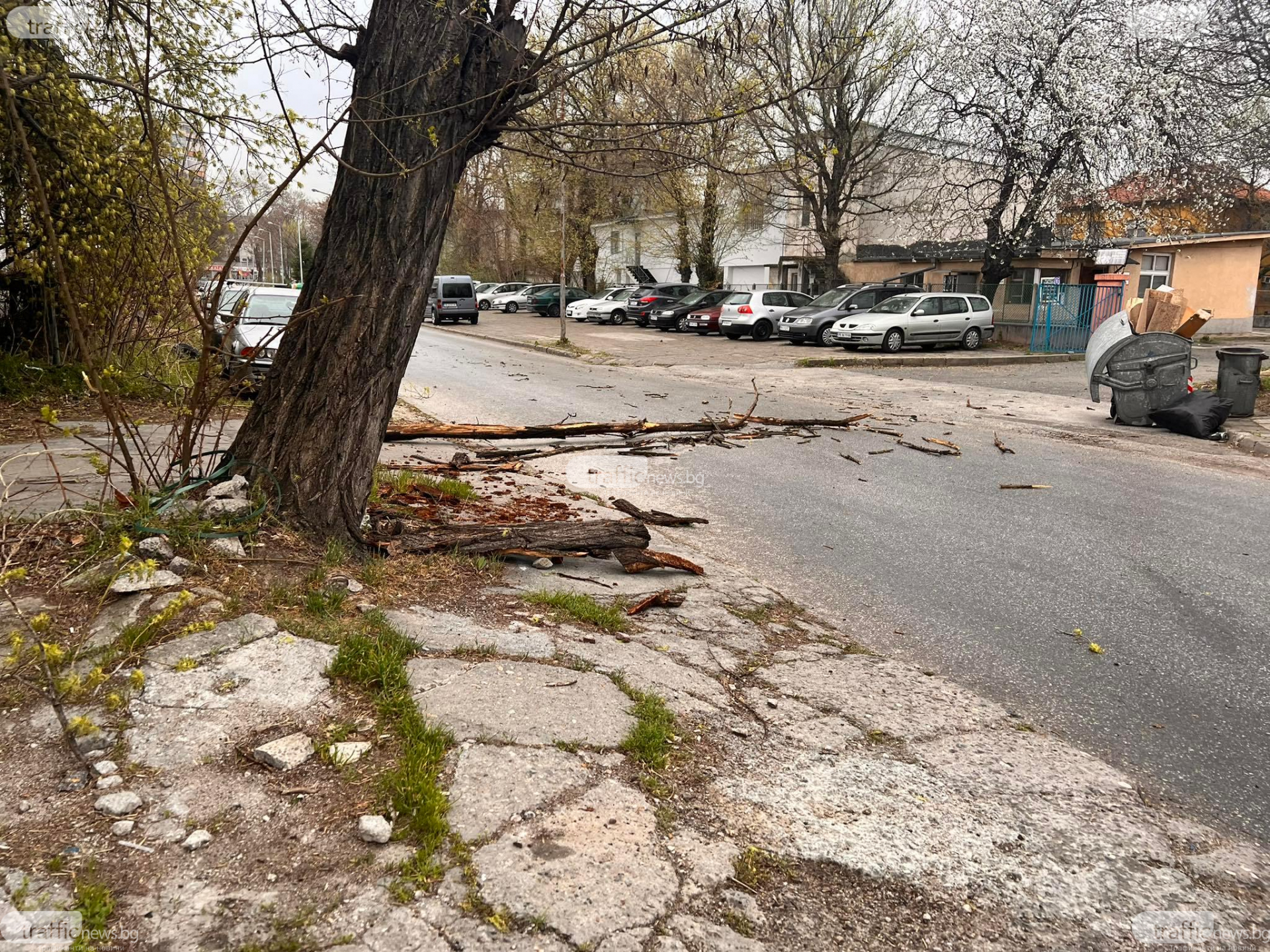 В Пловдив е страшно: Библейска буря удари града, дърво смаза джип в движение ВИДЕО