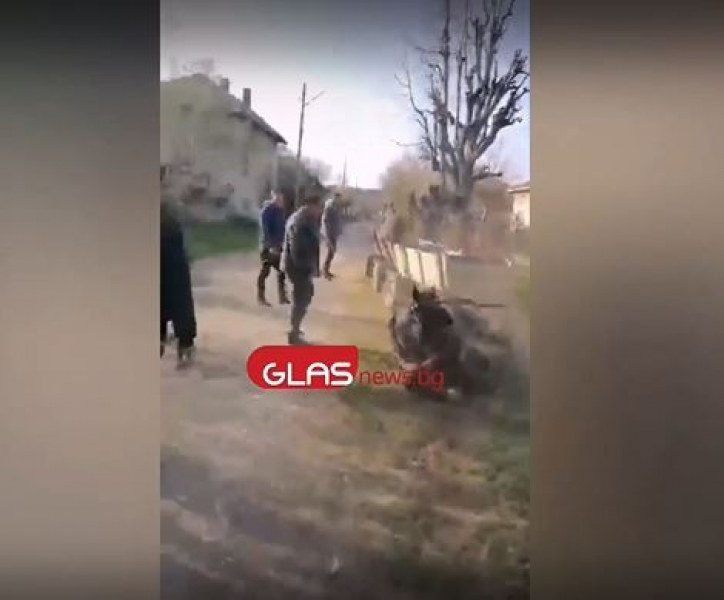 Диващина във Врачанско: Роми измъчват жестоко коне, като ги заставят с бой да... ВИДЕО