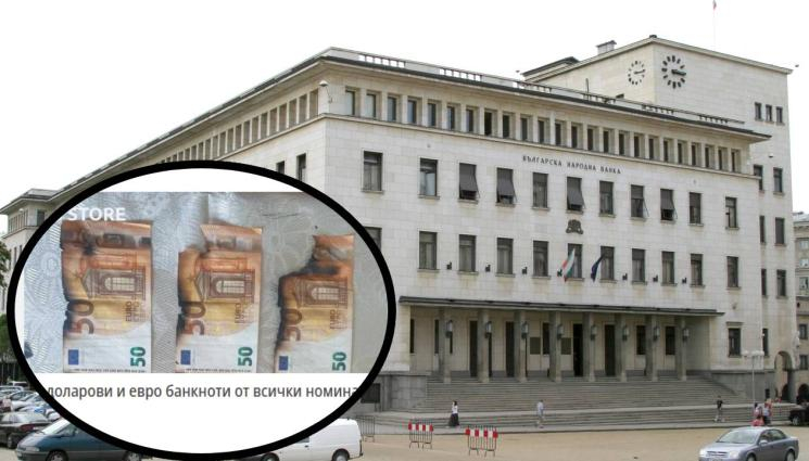 Куриоз! Няма да повярвате с какъв бизнес се занимават нашенци в еврозоната 