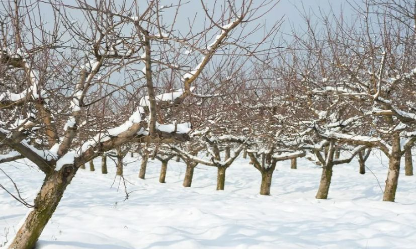 Гладни ще останем заради ужаса, който налегна България от дни
