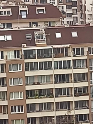 Цялата мрежа изтръпна заради тези СНИМКИ с дете от Бургас