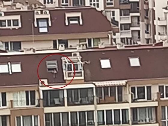 Цялата мрежа изтръпна заради тези СНИМКИ с дете от Бургас