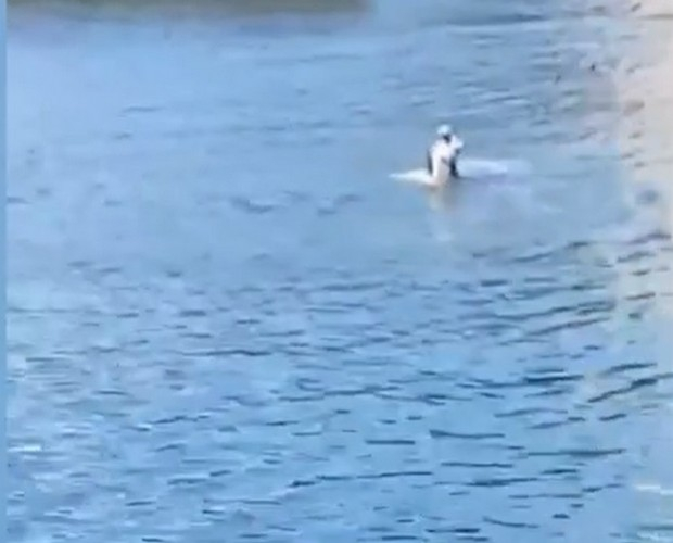 Чудото, което направи това куче в морето, смая варненци ВИДЕО 