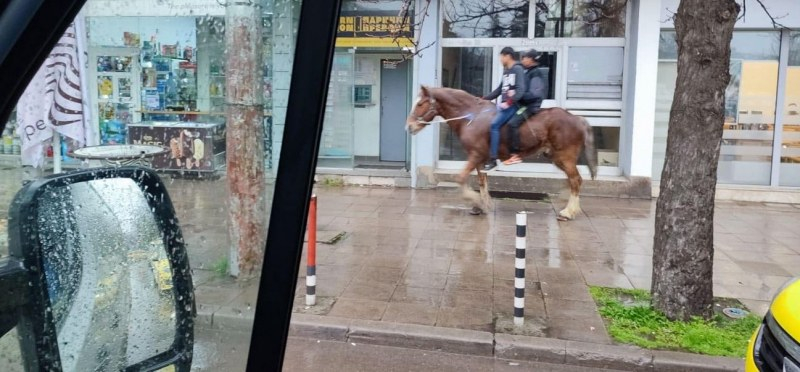 Софийски каубой кръстосват столицата за чудо и приказ, никой не ги закача СНИМКА 