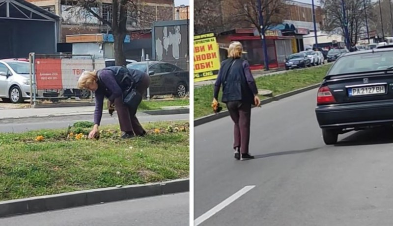 Срамна постъпка на жена в Пазарджик разгневи мрежата ВИДЕО
