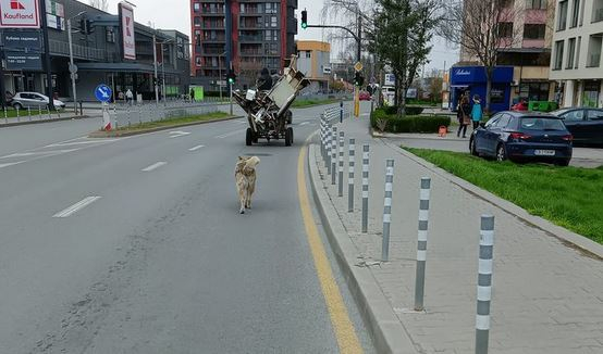 Без каруци в София ли? Тази гледка ще ви шокира СНИМКИ