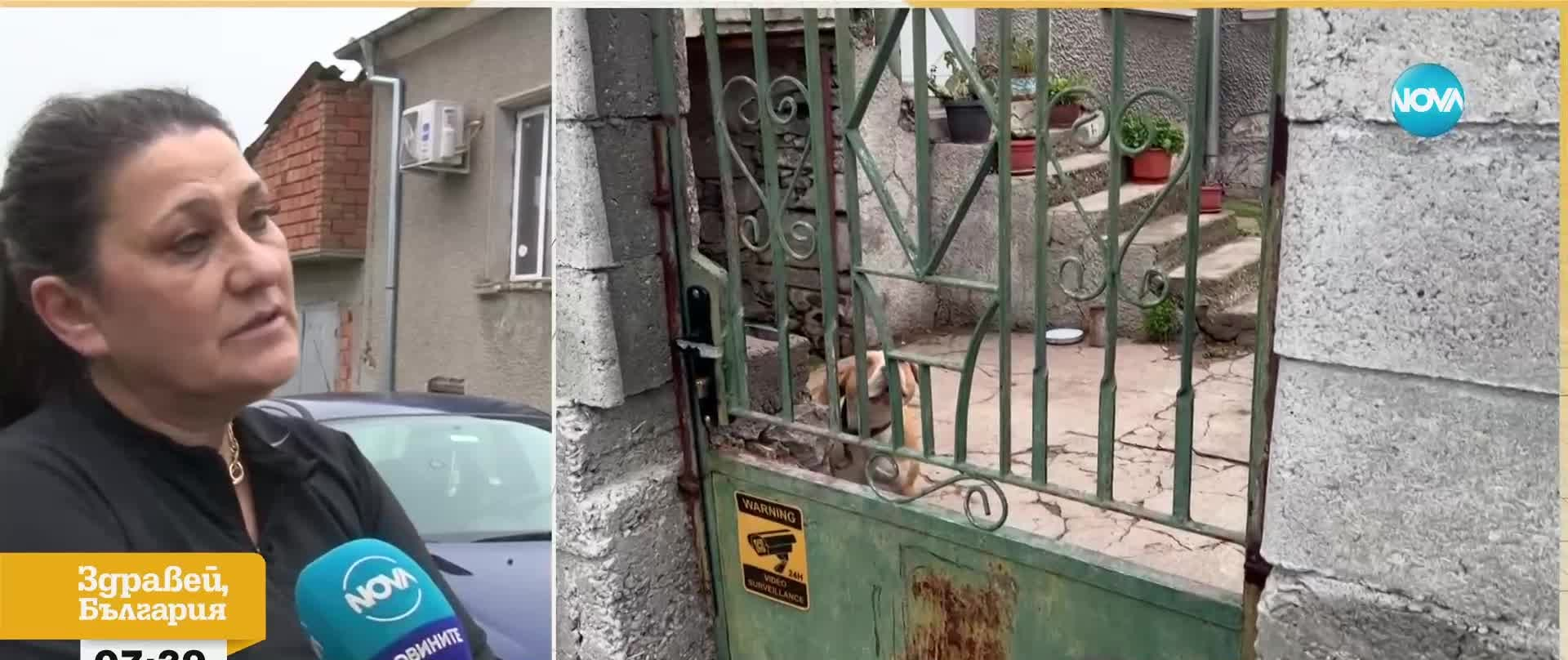 Ротвайлер нападна майка с бебе в Димитровградско и стана страшно! ВИДЕО
