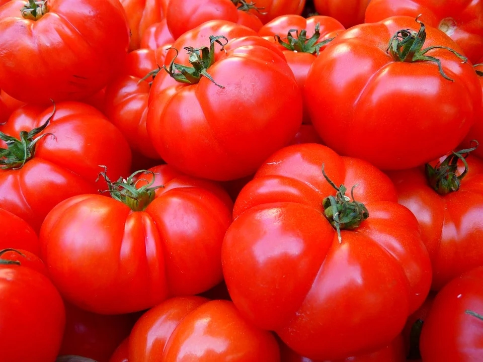 Ето я цялата истина за цените на хранителните продукти у нас