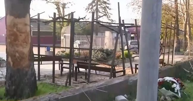 Шокиращи разкрития за шофьора, убил рожденичка във Варненско ВИДЕО