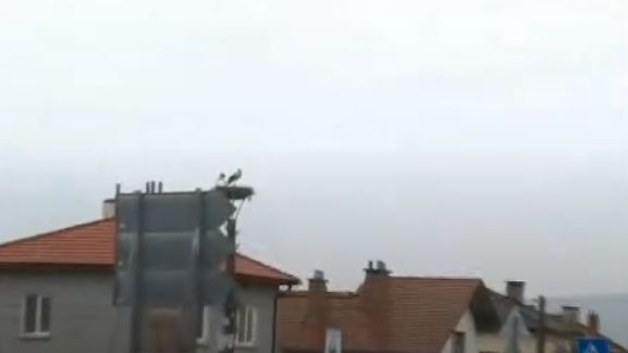 Такова чудо в прочуто по цял свят гоцеделчевско село хората не помнят ВИДЕО 