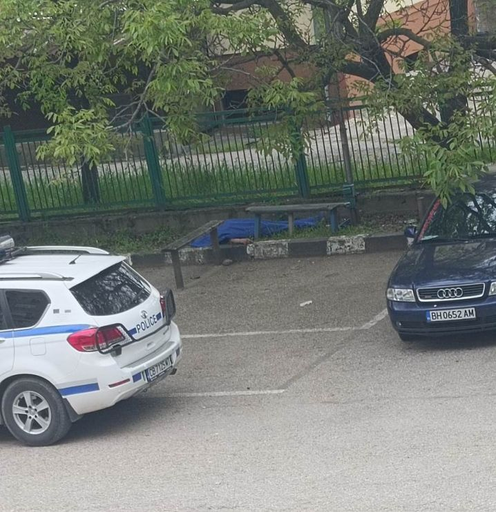 Зловеща гледка край пейка във Видин СНИМКИ 18+