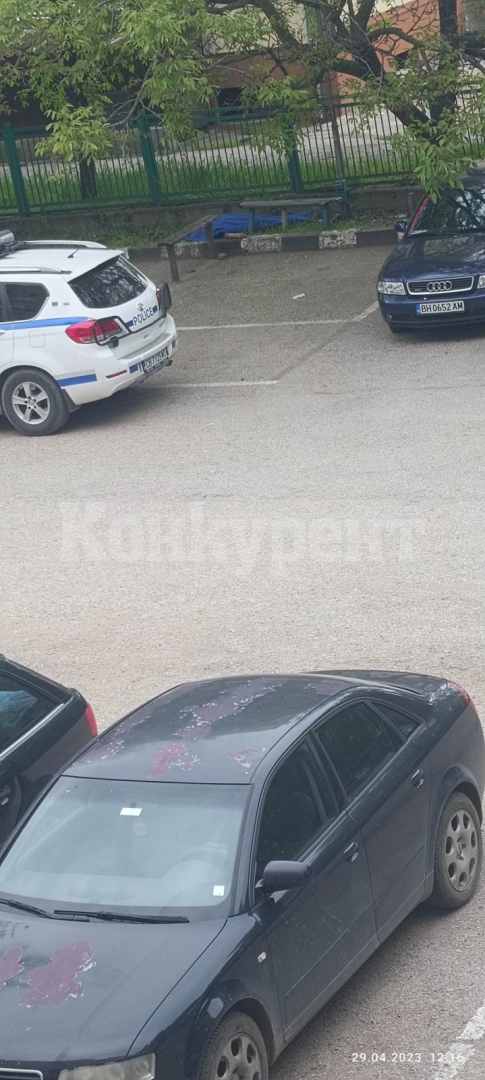 Зловеща гледка край пейка във Видин СНИМКИ 18+