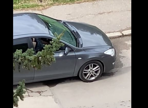 Мрежата гърми след СНИМКИ 18+: Видите ли този мъж в "Студентски град" в София, бягайте далеч 