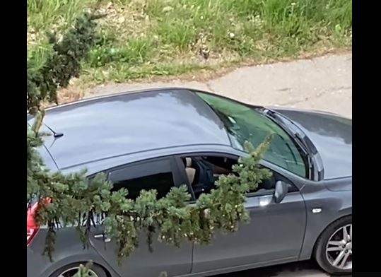 Мрежата гърми след СНИМКИ 18+: Видите ли този мъж в "Студентски град" в София, бягайте далеч 