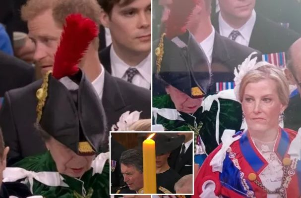 Цял свят говори за нелепата ситуация с Хари и червеното перо на... СНИМКИ