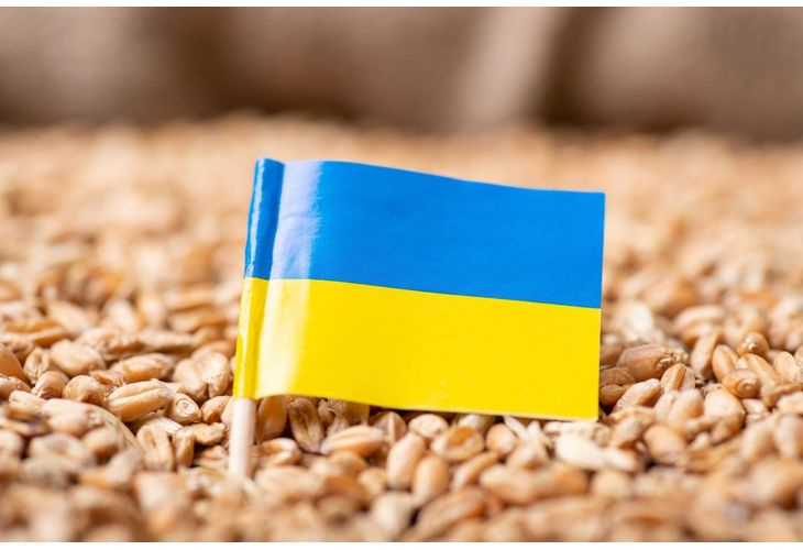 Полша взе важно решение за украинското зърно 