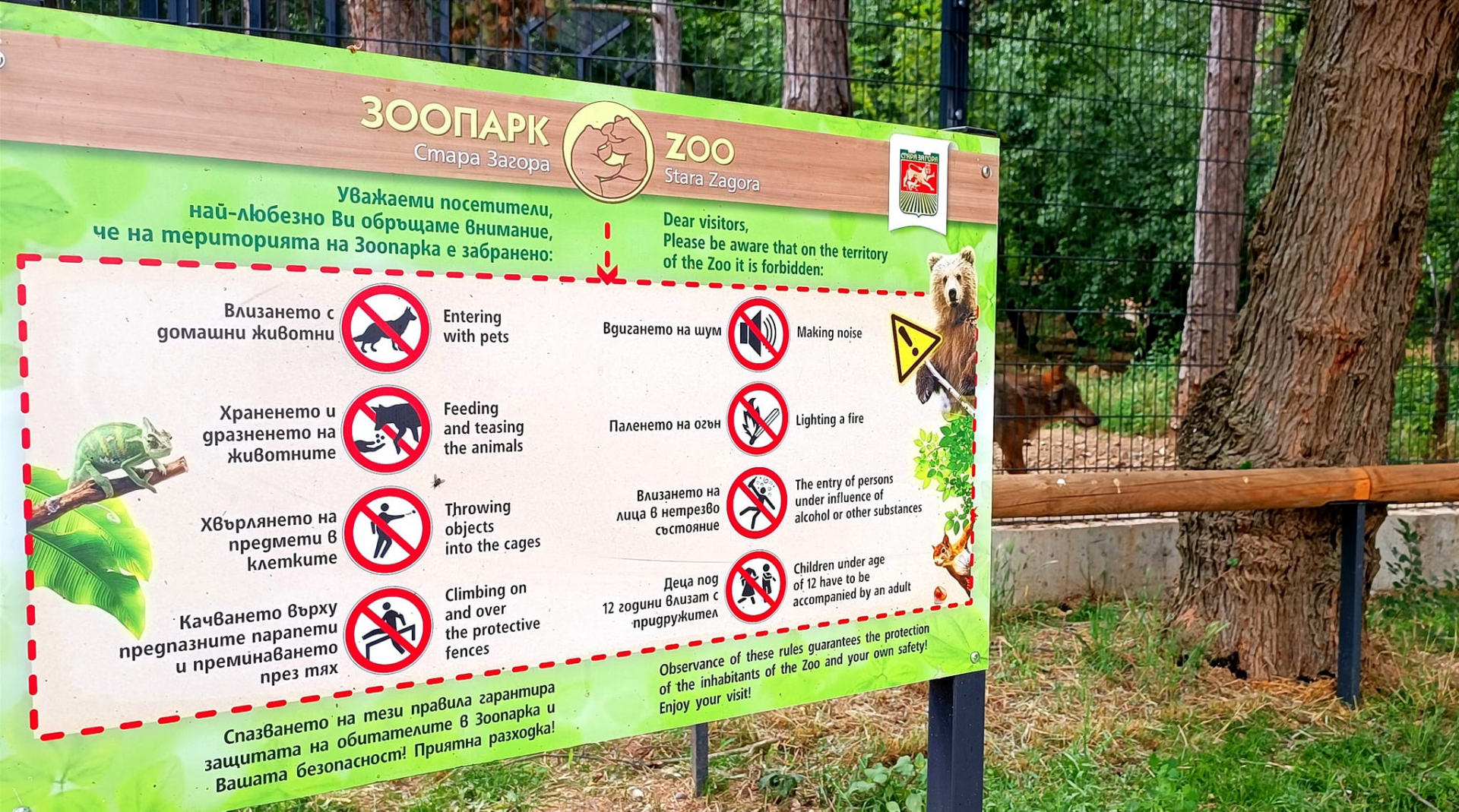 Писъци и кръв в зоопарка: Неочакван звяр откъсна пръсти на бременна пловдивчанка СНИМКИ 18+