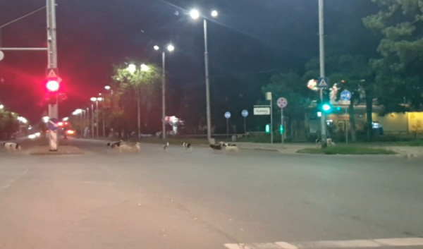 Страшна гледка в Пловдив посред нощ, хората не смеят да излязат СНИМКИ