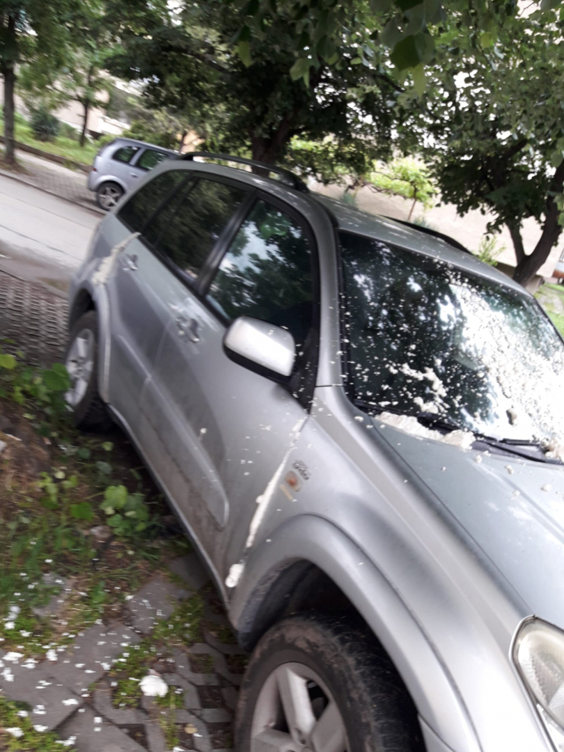 Жестоко отмъщение срещу кола в Стара Загора, местните не са виждали такова СНИМКИ
