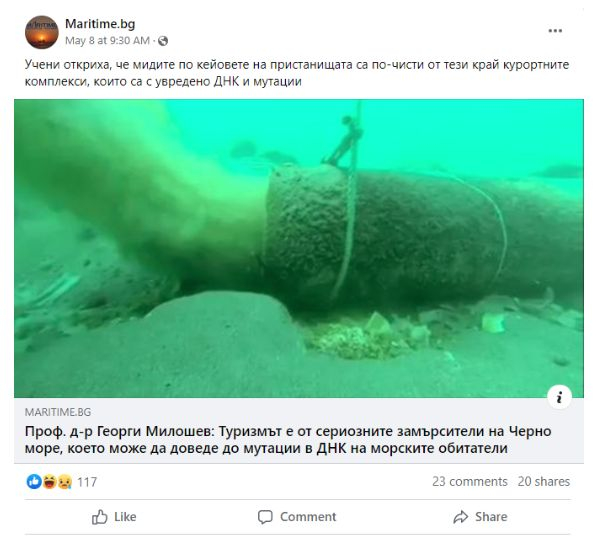 Няма и да помислите повече за миди от Черно море след този текст