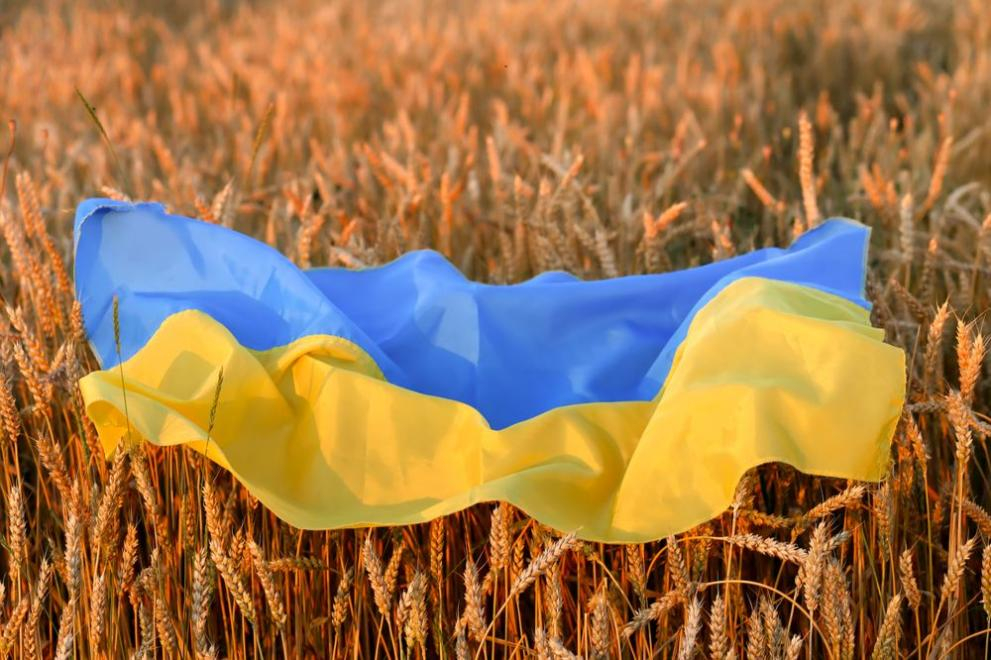 Полски министър с голяма новина за европейското вето на вноса на украинско зърно