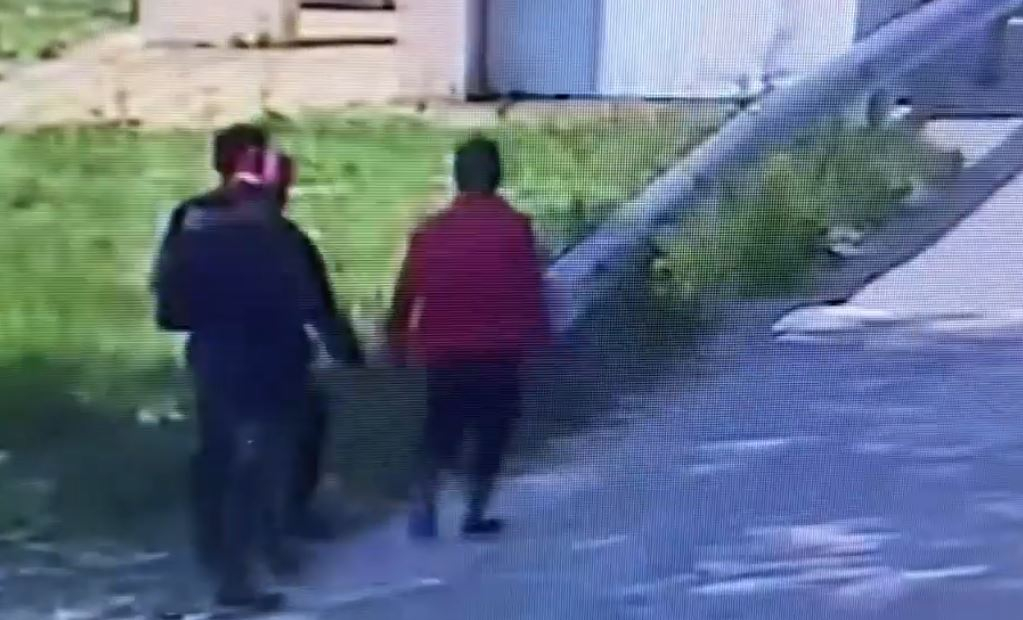 Пак безчинство: Роми нападнаха брутално възрастна жена посред бял ден в Слънчев бряг ВИДЕО