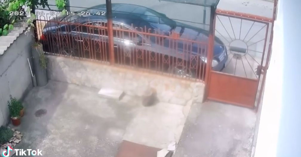 Зловещ тътен: Шокиращо ВИДЕО със звук от силното земетресение до Пловдив!