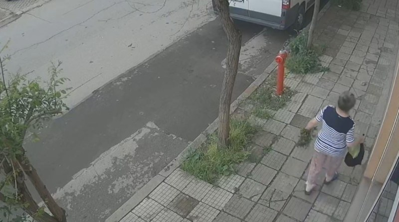 Жена на възраст вбеси сливналии, за Коледа ли се готви ВИДЕО 