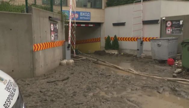 Пълен шок! Заради пороя кола се заби в дърво до къща кв. "Симеоново" в София СНИМКИ