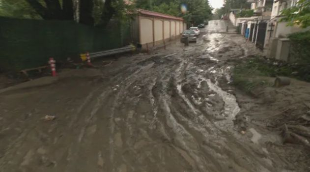 Пълен шок! Заради пороя кола се заби в дърво до къща кв. "Симеоново" в София СНИМКИ