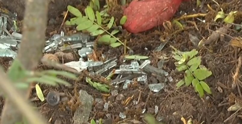 Това разкритие за касапницата с деца край Козлодуй ще ви разплаче ВИДЕО