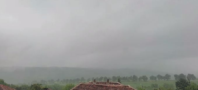 Нов порой удави Видинско ВИДЕО 