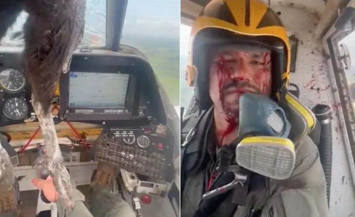 Огромна птица проби пилотска кабина, всичко стана в кръв ВИДЕО 18+