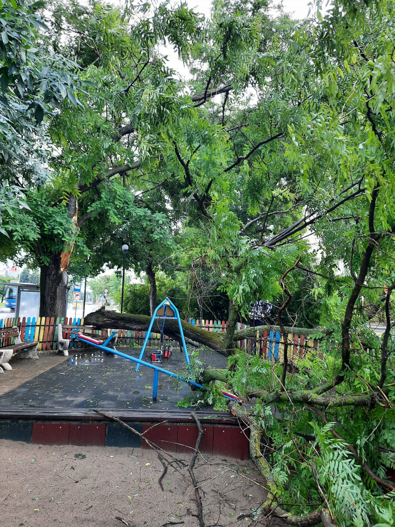 Неописуем ужас на детска площадка в Шумен СНИМКИ