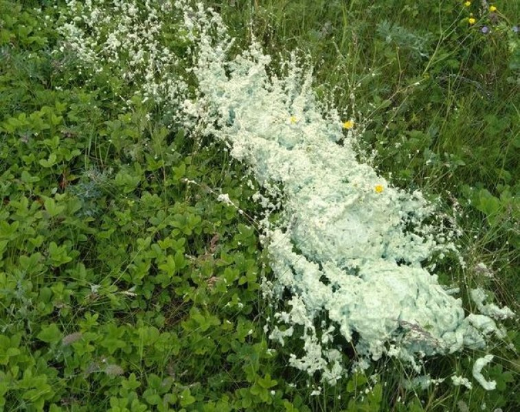 Грозна гледка на поляна в Родопите, всички са в потрес СНИМКА