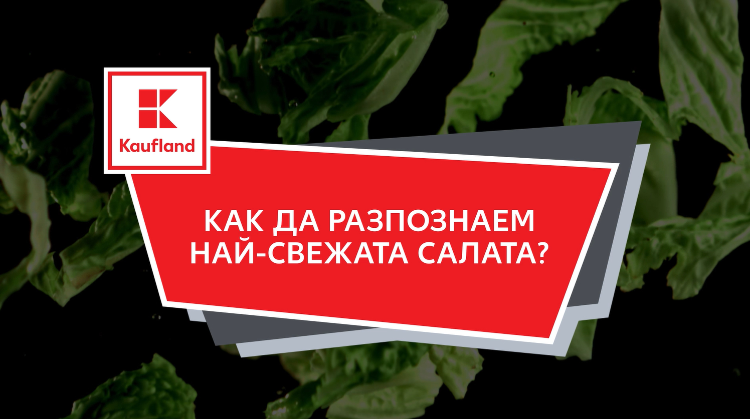 От Kaufland не издържаха и признаха: Гледайте за тези 5 неща, ако ще купувате зелена салата ВИДЕО