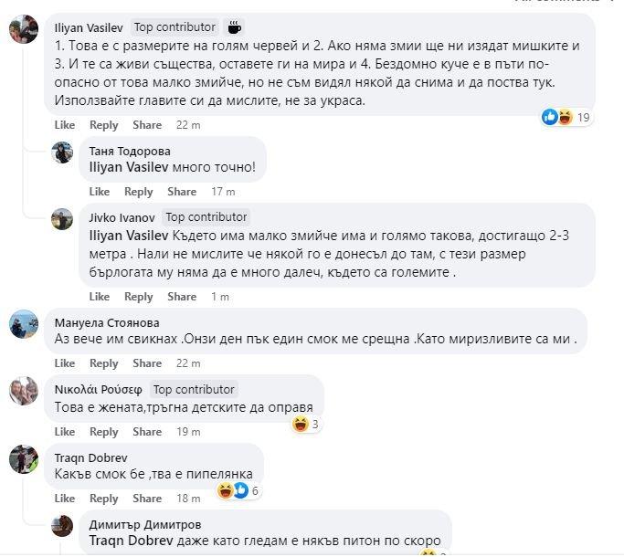 Ужас в центъра на Варна, ето какво мъж улови на СНИМКА