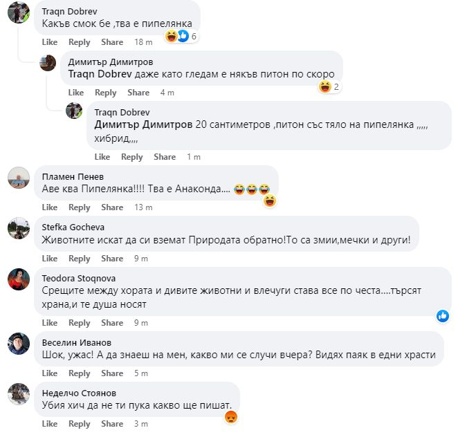 Ужас в центъра на Варна, ето какво мъж улови на СНИМКА