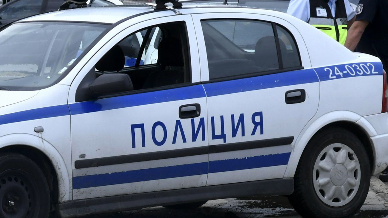 Митничари от "Капитан Андреево" провериха камион и онемяха от видяното вътре СНИМКИ