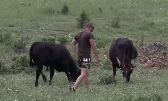 Ще те заровя жив и ще ме погреба в пасището: Зловеща история от с. Стефан Караджово ВИДЕО 18+