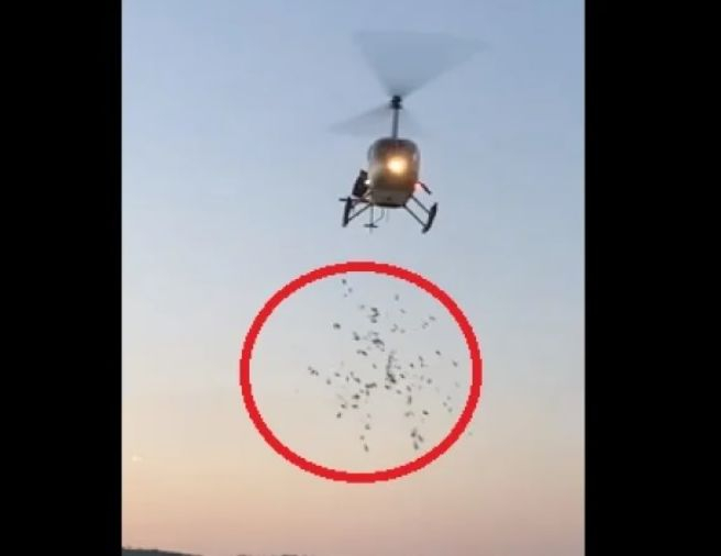 Гвоздейков обяви за уволнението на важен шеф заради екшъна с хеликоптера на "Градина"
