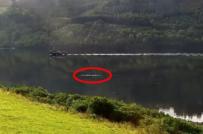 Хванаха чудовището от Лох Нес докато преследва корабче ВИДЕО 